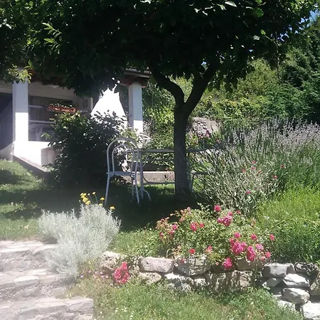 Papillon Bed and Breakfast *
