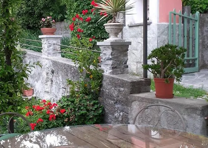 Papillon 페를레도