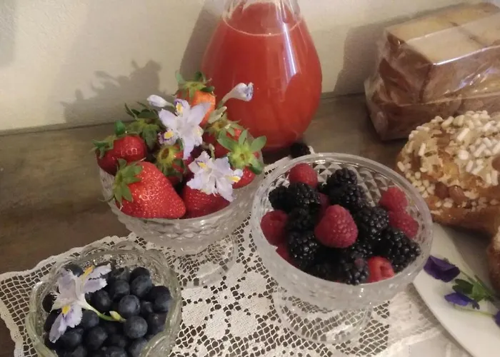 Bed and breakfast Papillon 3*